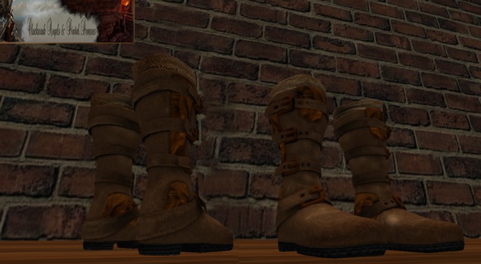 Brown and Copper Boots