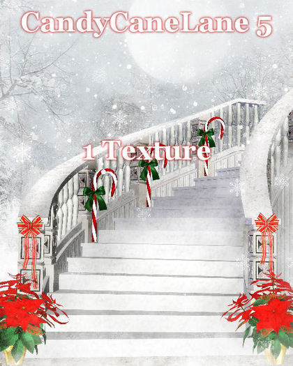 Candy Cane Lane 5