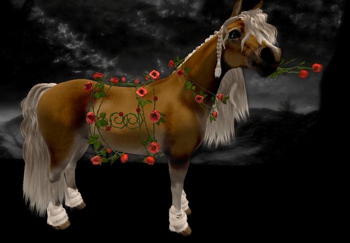 GIFT Roses Necklace,harness,nohm flower red(BC HORSE)