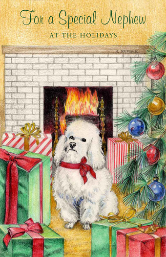 Christmas Card Nephew