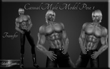 Lady Creations - Casual Male Model Pose 1 Transfer