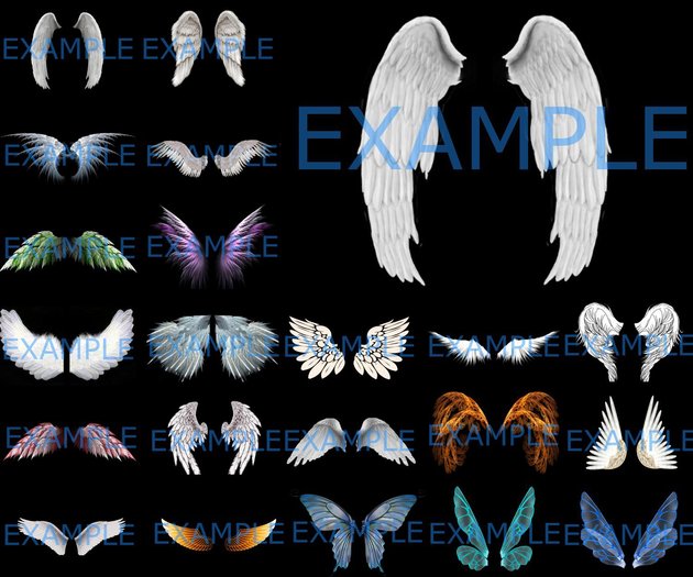 wings - 22 + bonus - black