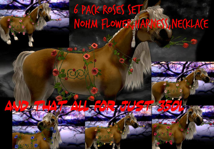 (TC)Roses Set Fatpack 6 Colors