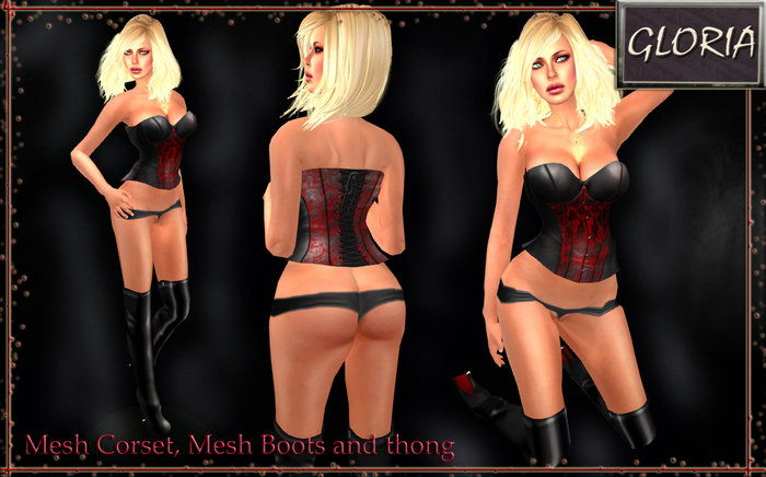GLORIA Mesh Corset with Mesh Boots  PROMO 