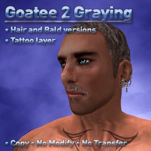 Roby'style Goatee 2 Graying