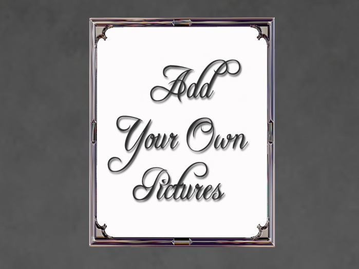 N1C Creations Digital Frame Chrome Deluxe