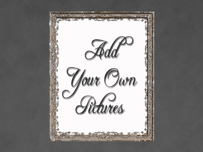N1C Creations Digital Frame Silver Kiss