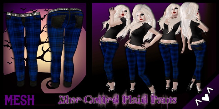 ^v^DRBC^v^Blue Plaid Pants