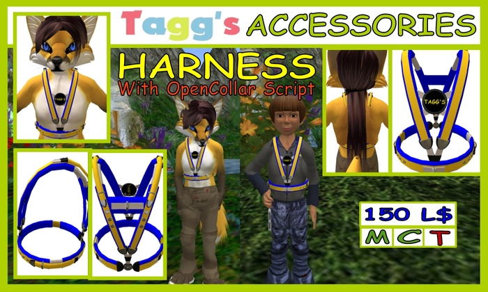 TAGG'S HARNESS