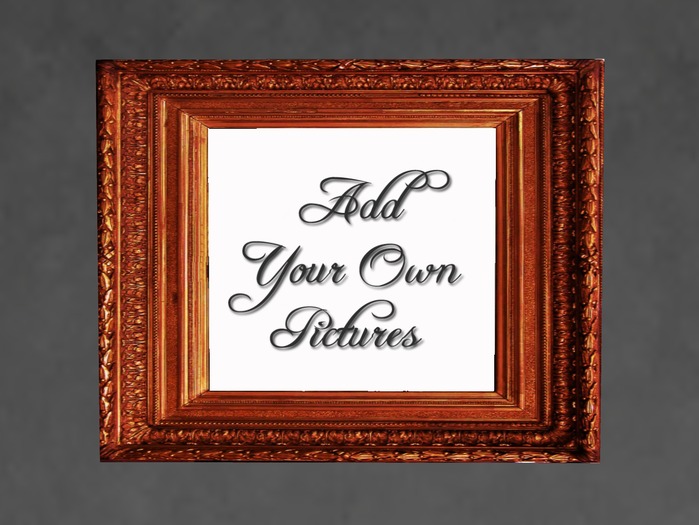 N1C Creations Digital Photo Frame Traditional 3