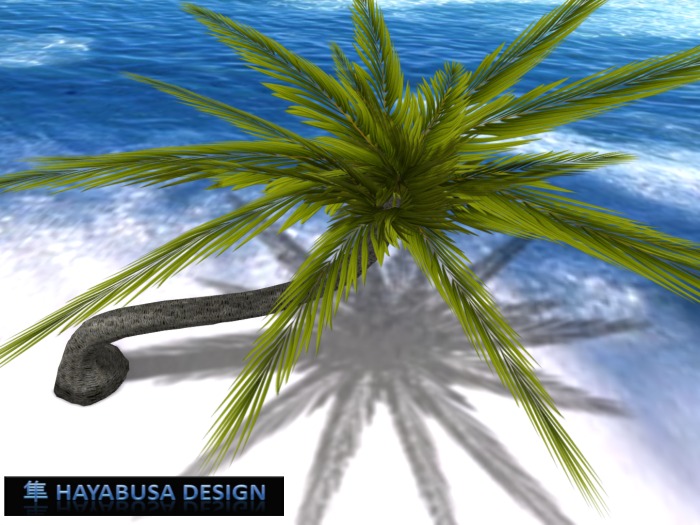 Realistic Palm, 2 Prims, Realistic Foliage shape, Copy&Modify