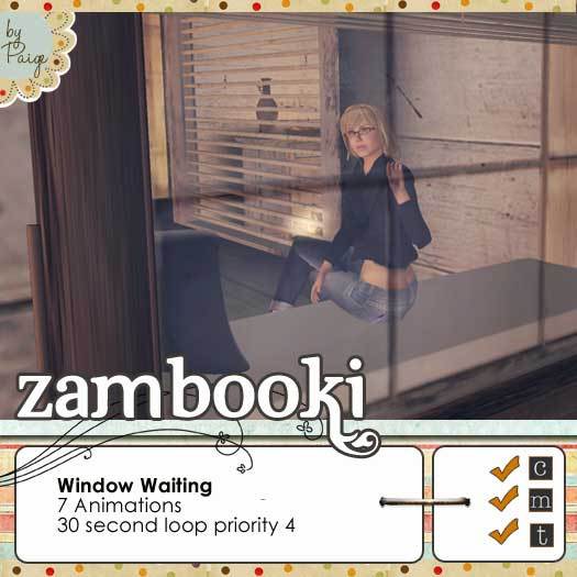Zambooki Animations - 7 Window Sits 