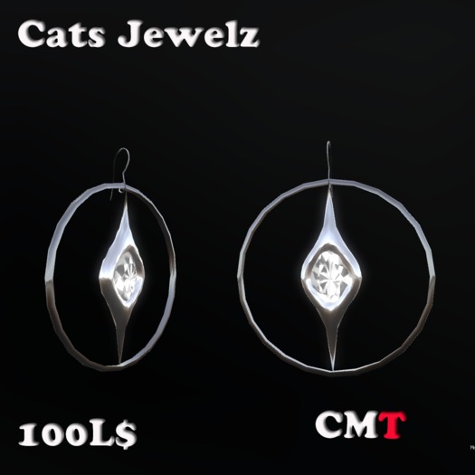 Modern Earrings