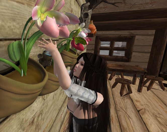 Wall Planter Bags - Wild Orchid Watermelon