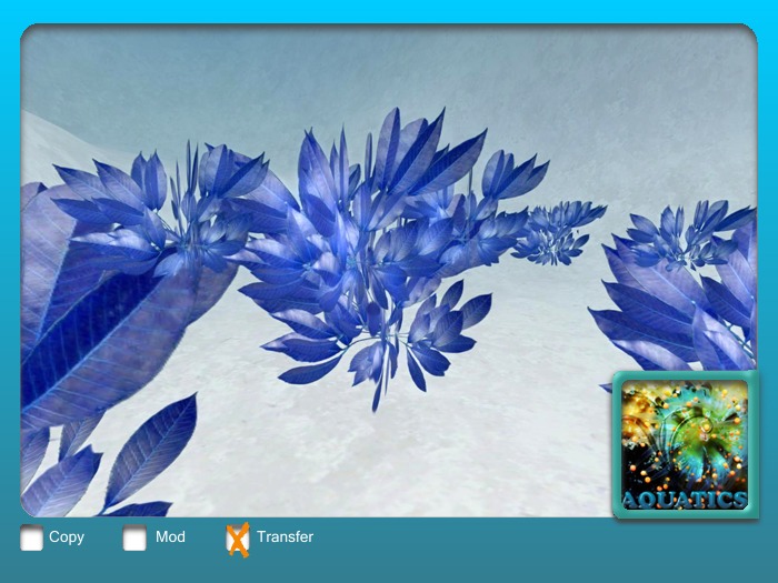Lady in Blue with Resizer