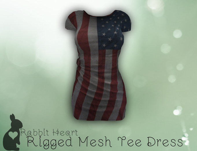 Rabbit Heart - America Tee Dress (Mesh)