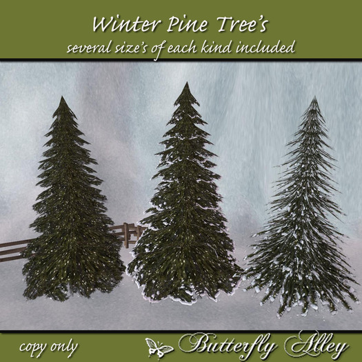 ~Butterfly Alley~ Winter Pines