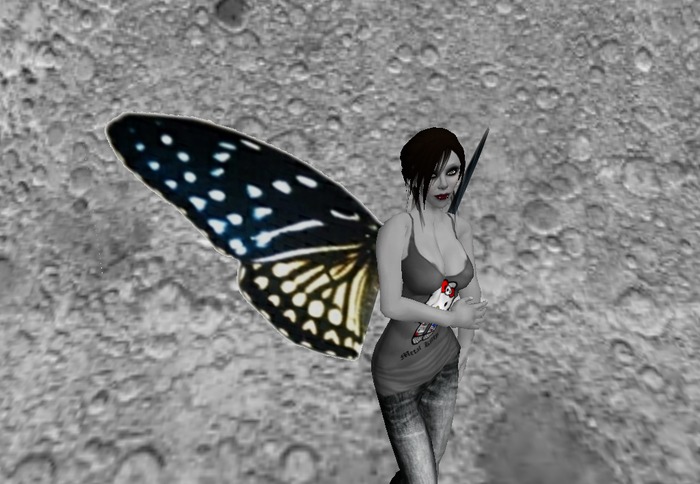 black/white/yellow speckled wings