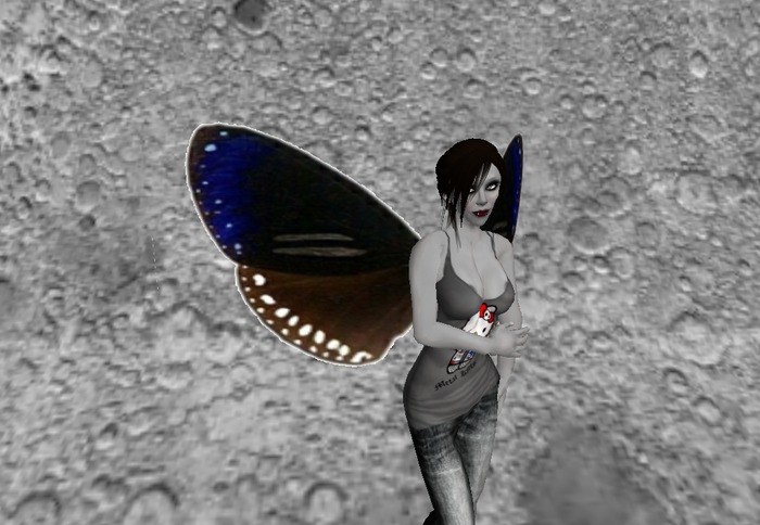blue and brown wings