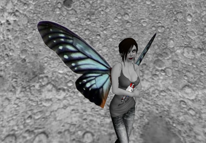 blue and black wings