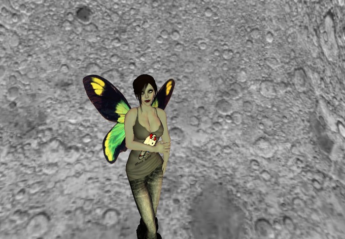 Black and Green Butterfly