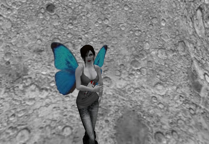 Blue Butterfly Wings
