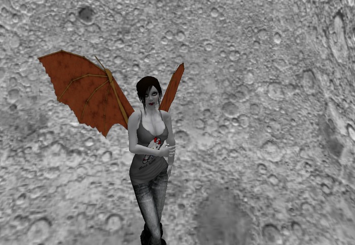 Orange DaVinci Wings