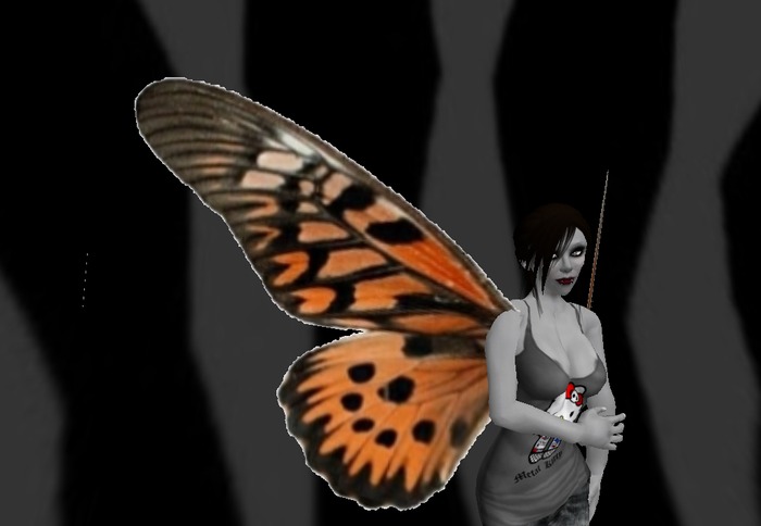 Orange/black wings