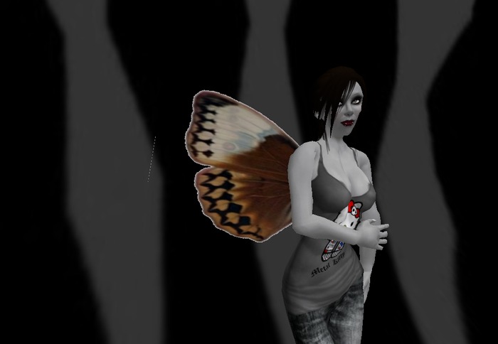 Brown butterfly wings