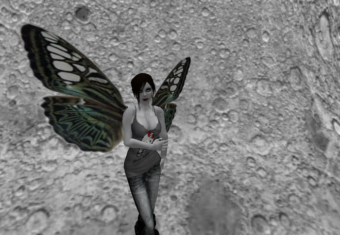 blue/white dragonfly angelshape wings