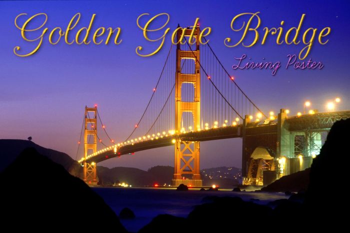 Golden Gate Bridge Living Poster