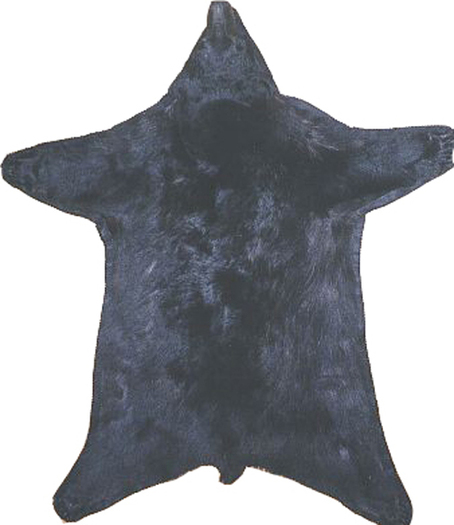 Bear Fur Rug