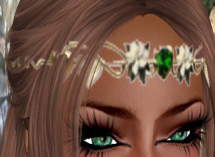 ~*SE*~Circlet Emerald Gem and flowers boxed