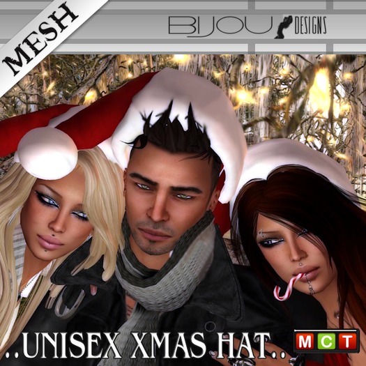 Bijou /// SANTA's HAT (unisex)
