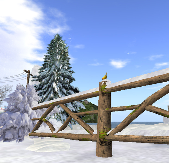 Winter: Snowy wooden fences with winter shrub 