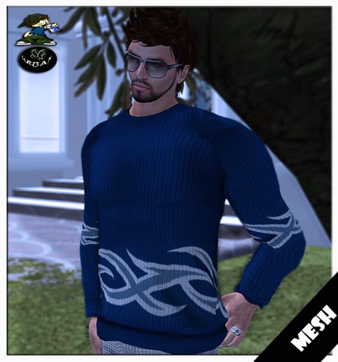 Designer Blue Sweater