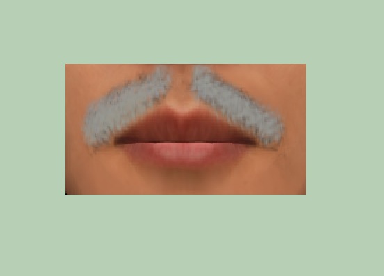 Wingsong Mustache Silver Box