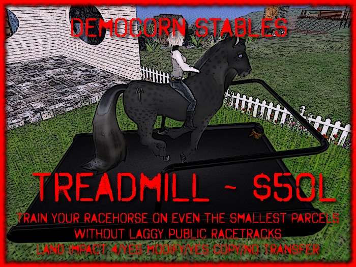 ~DCS~ Treadmill ~ Train your racehorse!