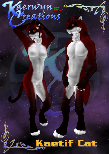 Kaerwyn Creations Kaetif Housecat - Pointed Red