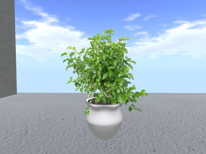 Arkad's Potted Blue Muffin flexi plant