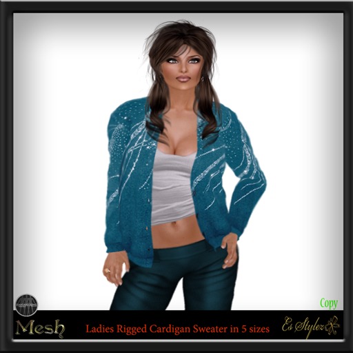 !Es Stylez~ Ladies Cardigan Sweater - Blue