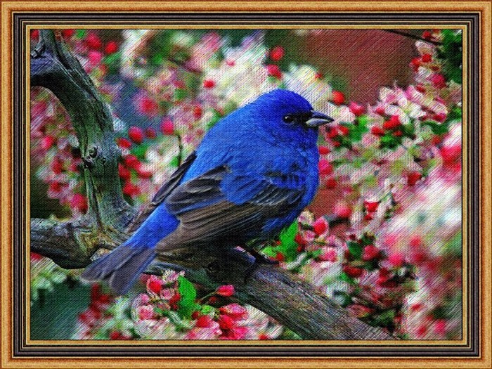 Artistry by Alex - Where Bluebirds Fly