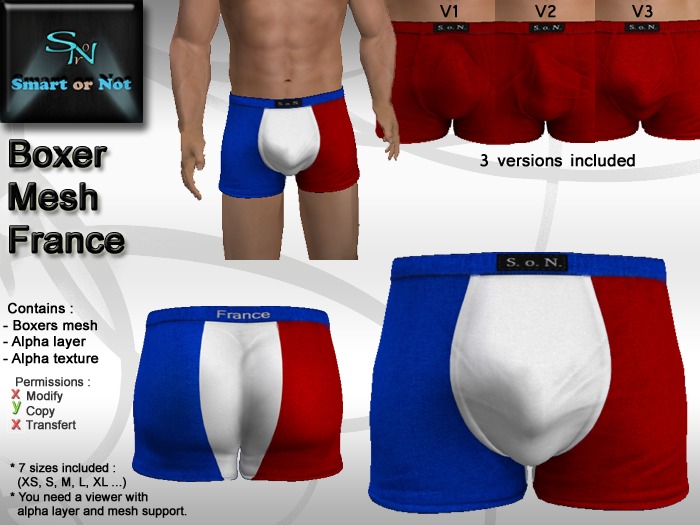 France boxer - MESH