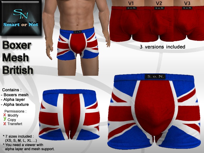 British boxer - MESH