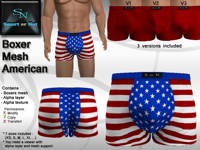 US boxer - MESH