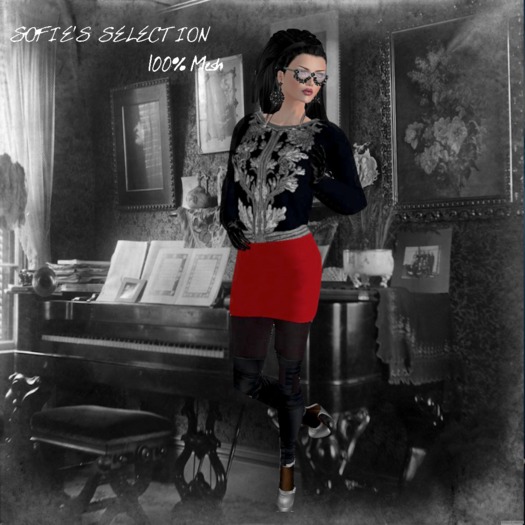 <S> Mesh Bourgeois Dress (Black-R)