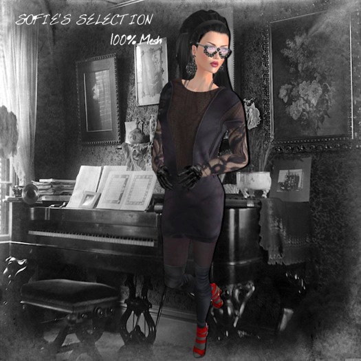 <S> Mesh Dark Dress Bourgeois