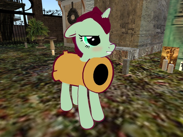 Pony Chest Cannon