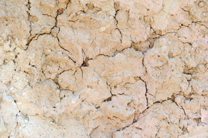 Dried Earth Texture