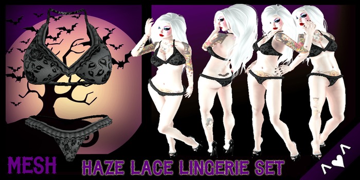 ^v^DRBC^v^ Haze Lace Lingerie Set